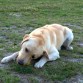 jugando con mi pelota