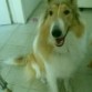 A sus 9 meses, prometo subir una de ella actualizada