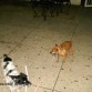 Las 2 Son Lo Mas Bello Que Tengo En La Vida....
