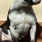 Ray con 2 años