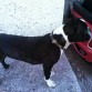 vigo con sus casi 6 meses :)