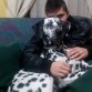 Esta es dana, es una increible dalmata y tiene ya 16 dias de gestacion:)