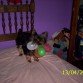 me gustaba jugar con los globos