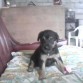 mi niña es muy tierna y obediente esa foto le tome cuando ella tenia un mes ahora ella tiene 1 año :D es muy linda :D