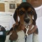 En la sala de espera del Veterinario