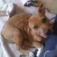 La pequeña Daisy, ya empezaba a plantar sus orejillas 