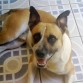 busco amigar para salir a jugar