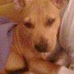 Cuando Daisy era pequeñita, solo 2 meses 