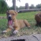 Contento ( 2 meses )