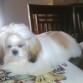 este es a sus 7 meses