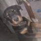 jeje aqui mi tesoroo siempre mirando todo.. =)