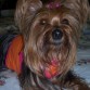 hola soy Ruby(:-)