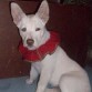 hermosa mi Belaa--