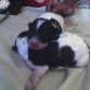 recien nacio¡¡¡¡¡