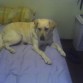 Nasska en mi cama