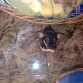 este es golfo