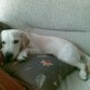5 meses