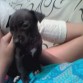 1 mes de nacida.
