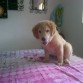 Sam con 3 Meses 