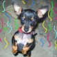 MI CUMPLE DE 5 MESES