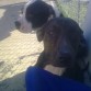 brindi siempre robando camara cualquiera diria q le gusta q la retraten