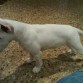 con casi 4 meses