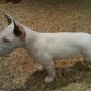 con casi 4 meses