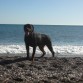 11 meses