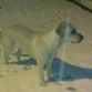 En la nieve. Como la gusto!!! 
