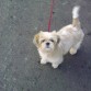 paseo...