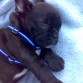 MI GRAN PASION: DORMIR