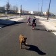 Paseo en bici con mis hijos, parecia verano azul, jeje.