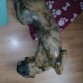 Así me duerme