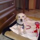 2 meses
