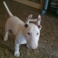 con 3 meses