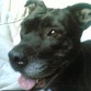 ari en pose para photo
