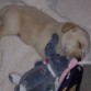 con su primer peluche