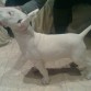 con 3 meses