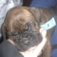 Soy un tierno
