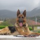 rassel en la playa de la espasa descansando despues de una tarde de juego!!