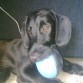 otto con 8 meses