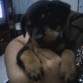 AL 1 Y MEDIO