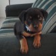 A LOS 2 MESES