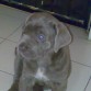 Dasha  cuando tenia 2 meses!