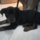 KECHA ALOS 4 MESES