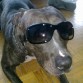 super fashion
