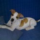 3 meses