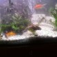 300 litros de acuario una pasada