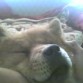 wendy durmiendo....