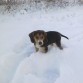 su primera nevada